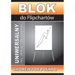 Blok FLIPCHART 10kartek kratka