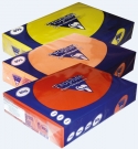Papier A4 ksero kolorowy pastelowy Trophee; 80 g/m2, 500 ark., szary